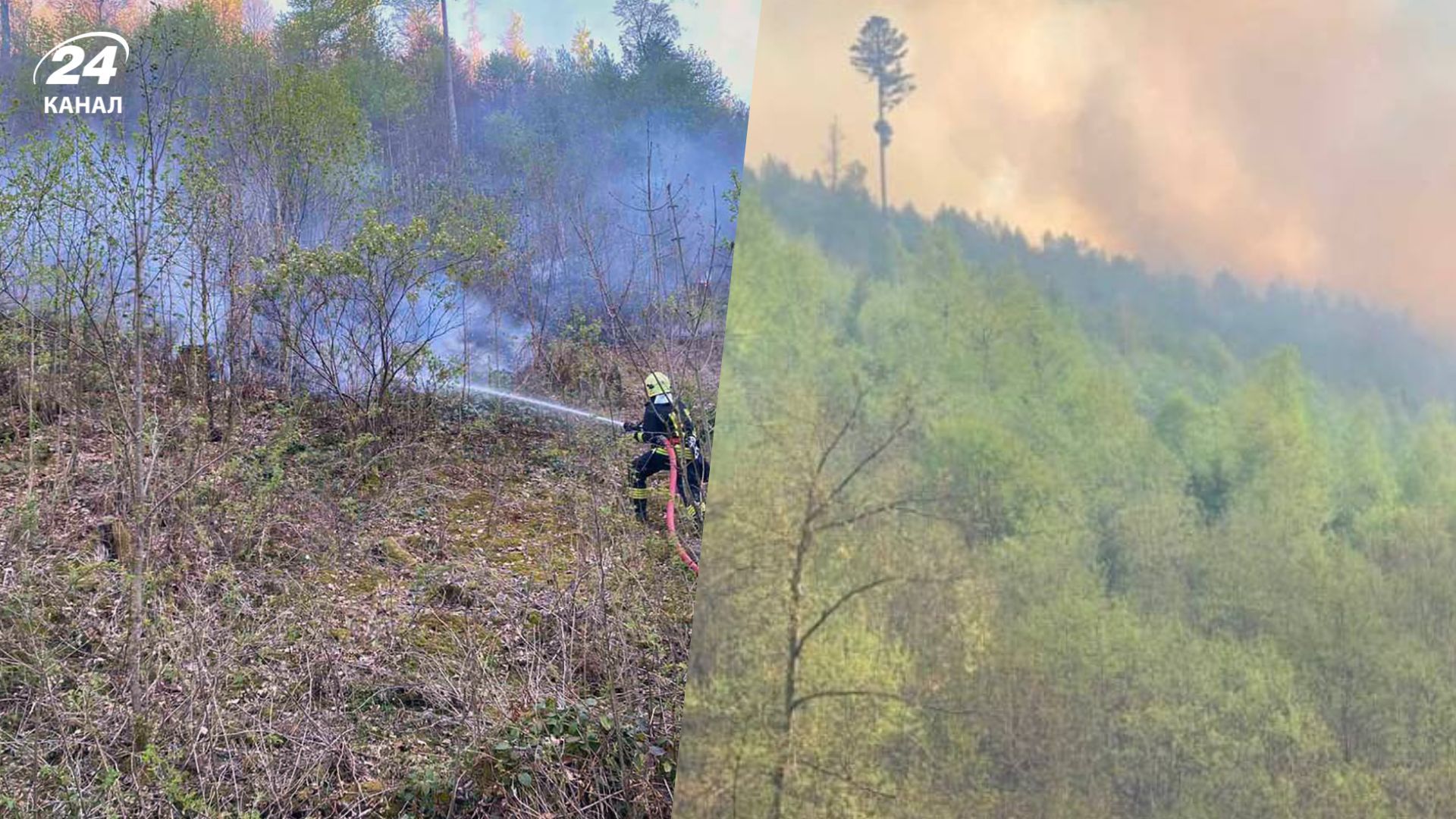 В урочищі Кілиця загорівся ліс