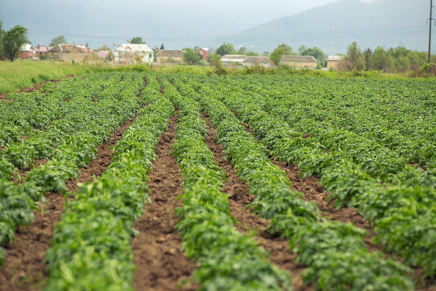 Оформлення землі у 2026 Оформлення землі у 2026