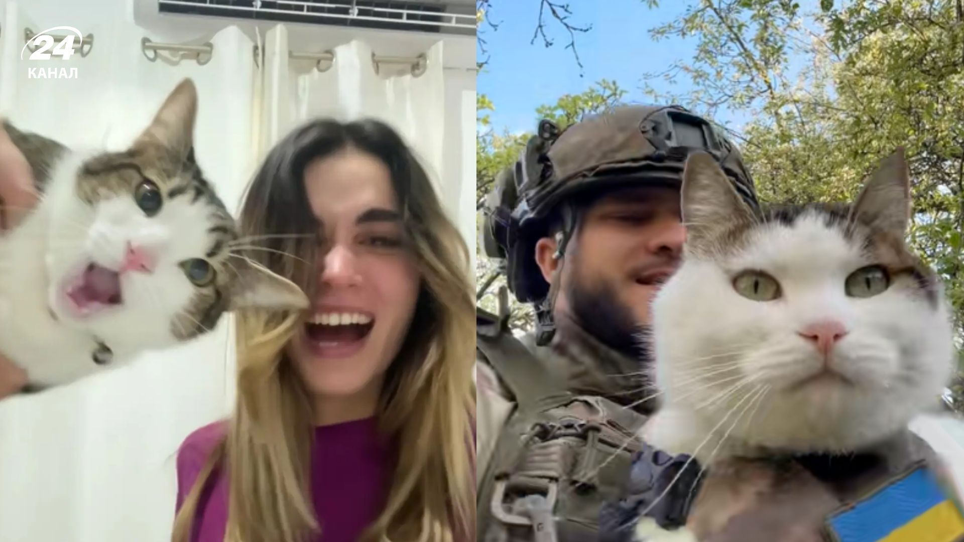 Тренд з котиками в TikTok Тренд з котиками в TikTok