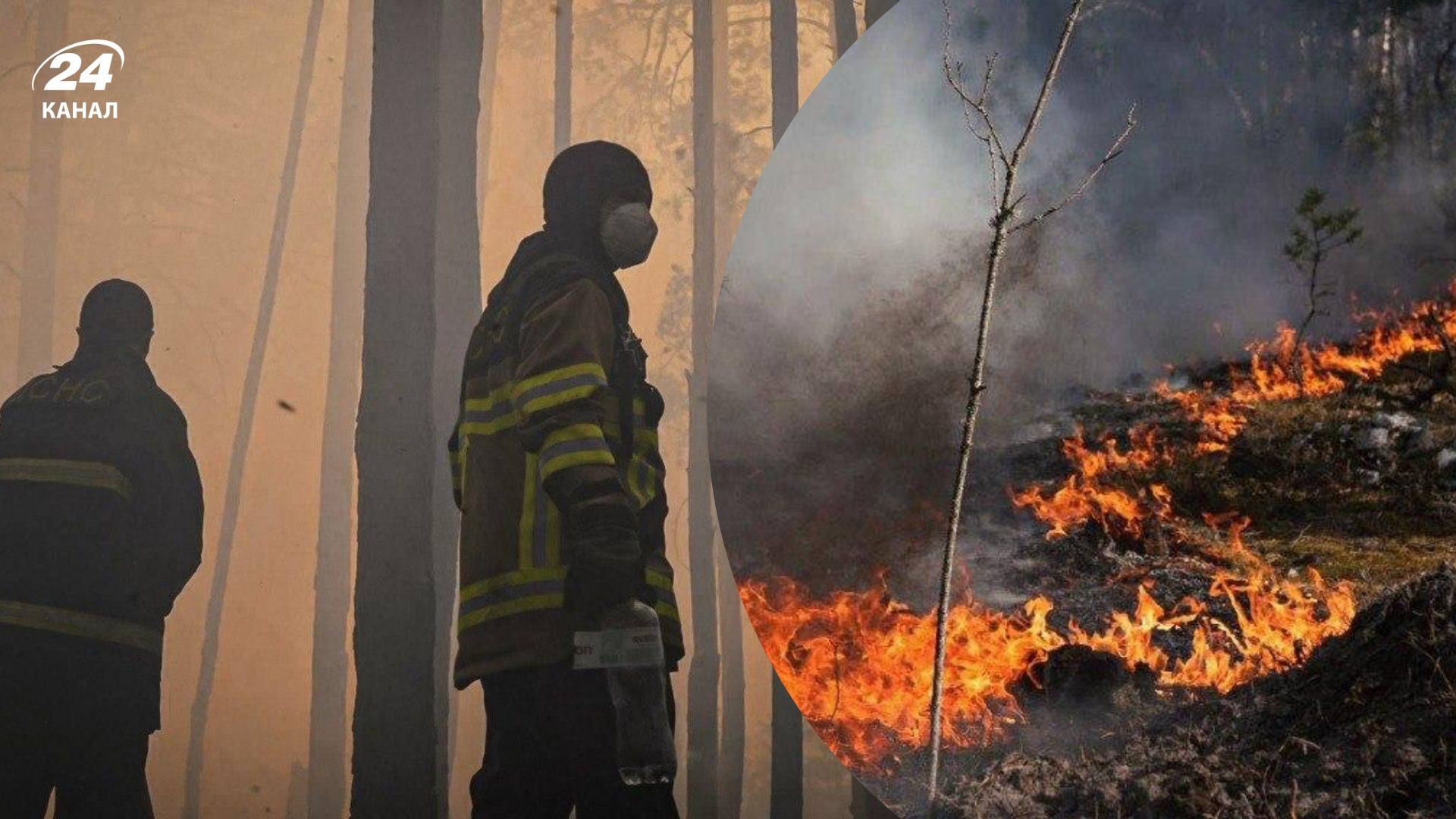Горить понад 1000 гектарів: у зоні відчуження не можуть загасити масштабну лісову пожежу - Київ