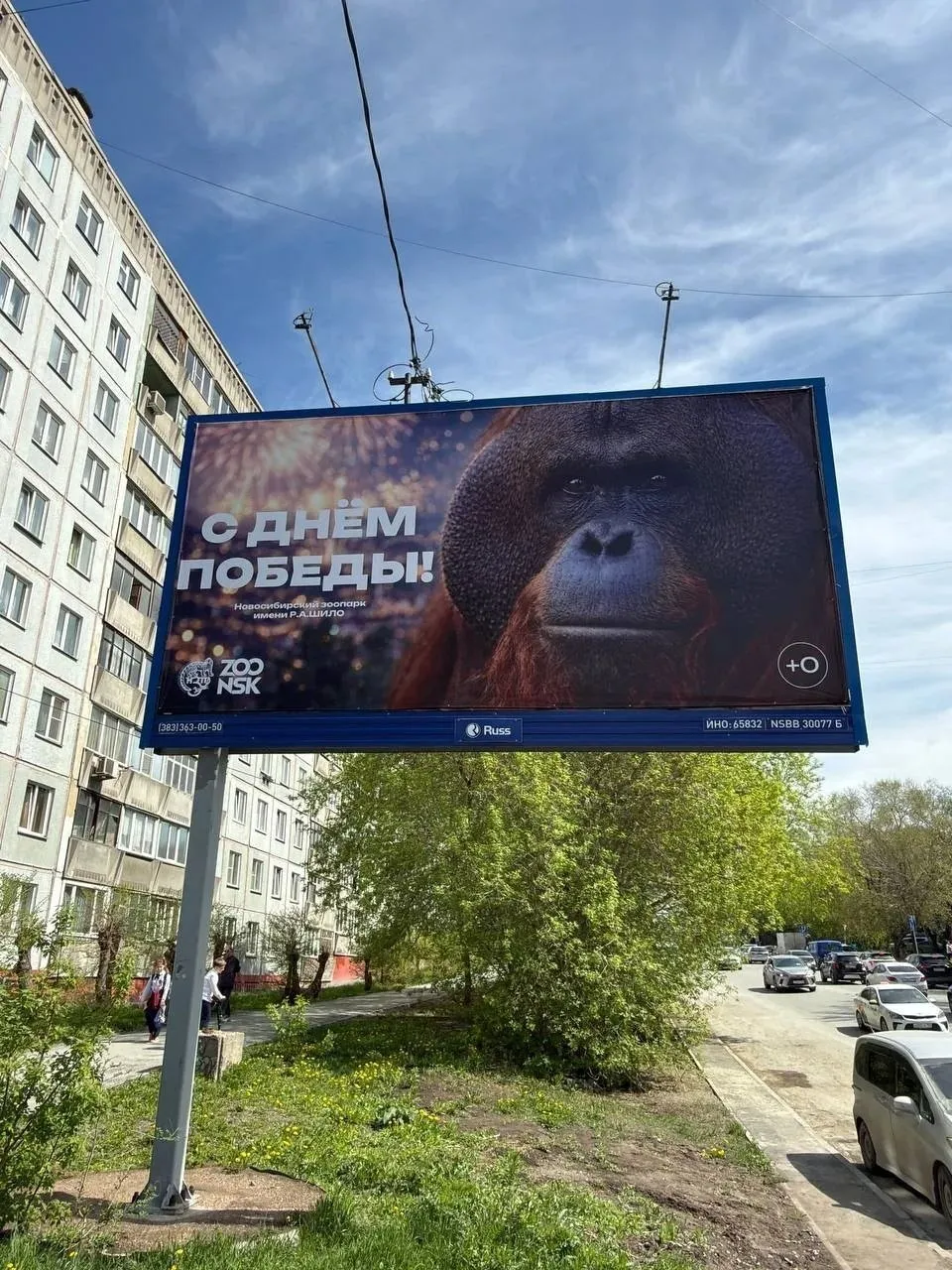 Плакат з мавпою до 9 травня у Росії