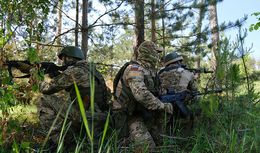 Украинские силы поразили ивничнокорейскую РСЗО Type-75 - как это удалось