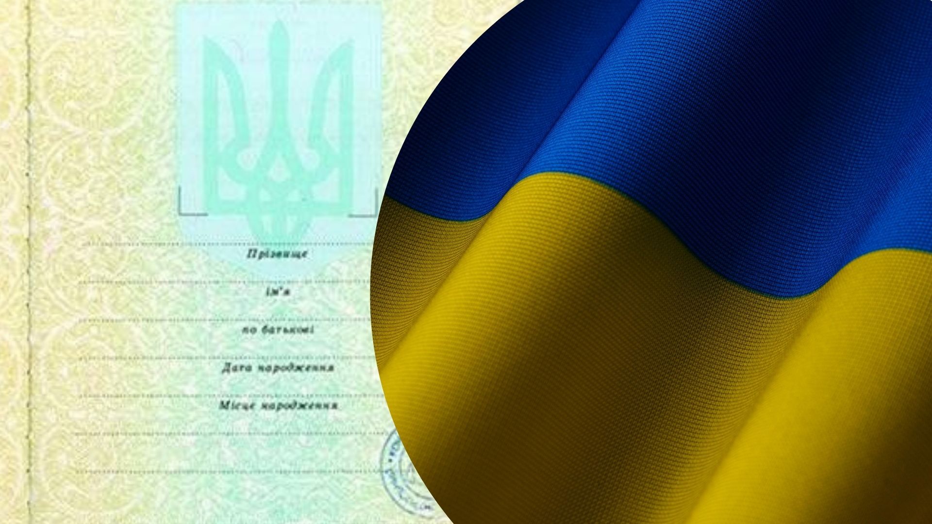 Упрощение приобретения гражданства Упрощение приобретения гражданства