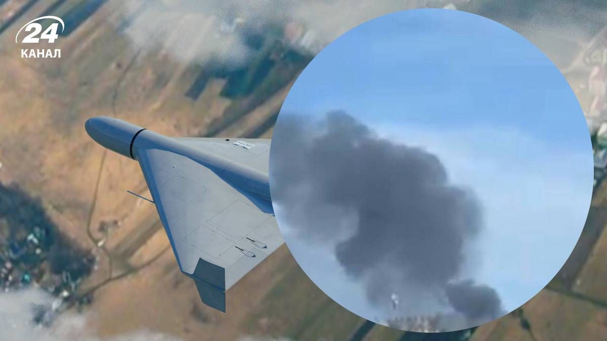 Росія атакувала Житомирську область дронами Росія атакувала Житомирську область дронами