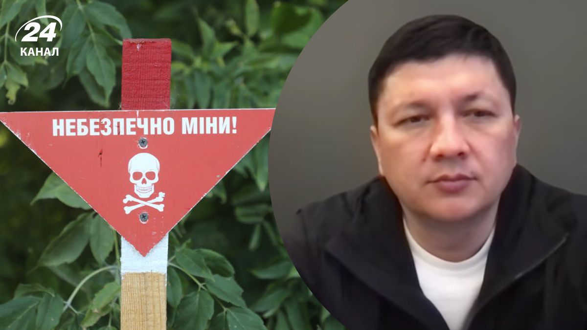 Ким рассказал, сколько удалось разминировать территории на Николаевщине