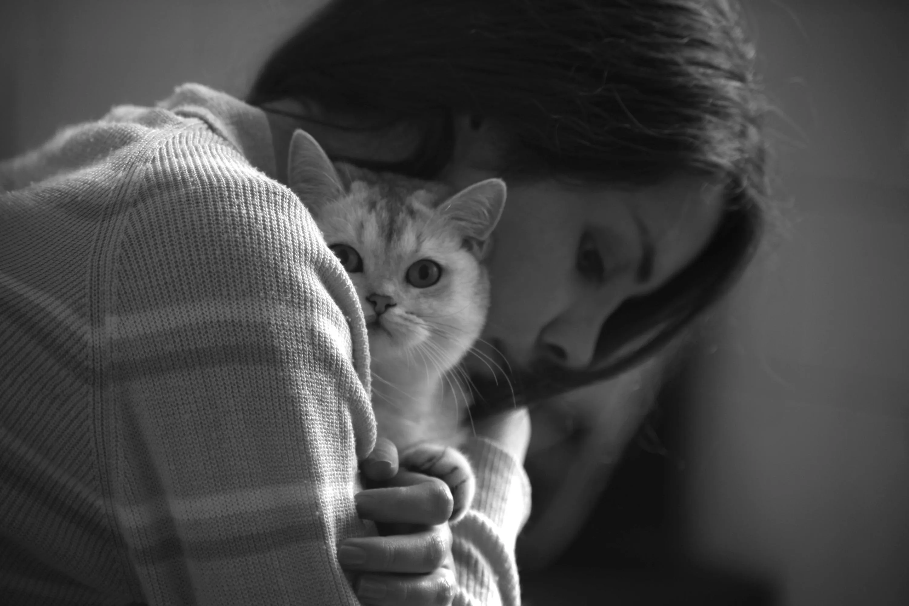 Объятия с котом Объятия с котом
