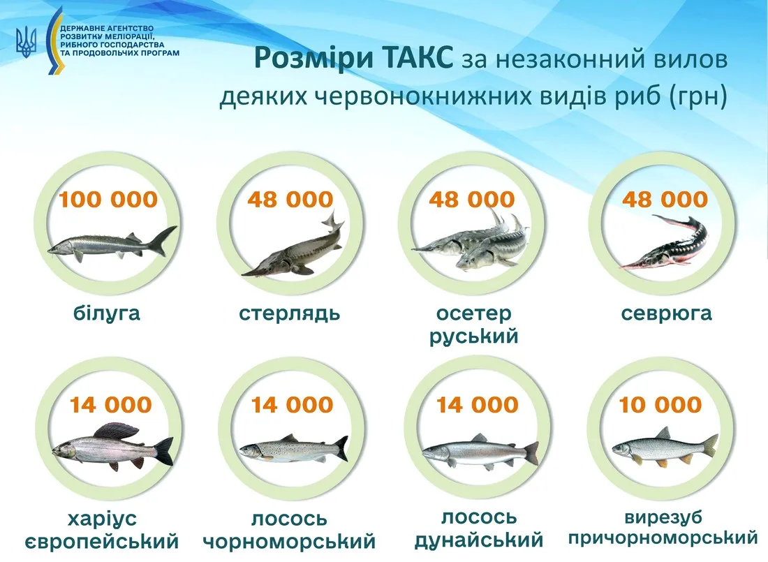 Які види риб заборонено ловити - Червона книга України 2026