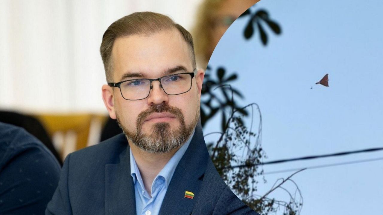 Литва заявила, що дрон, який залетів на її територію, український, фото ілюстративне