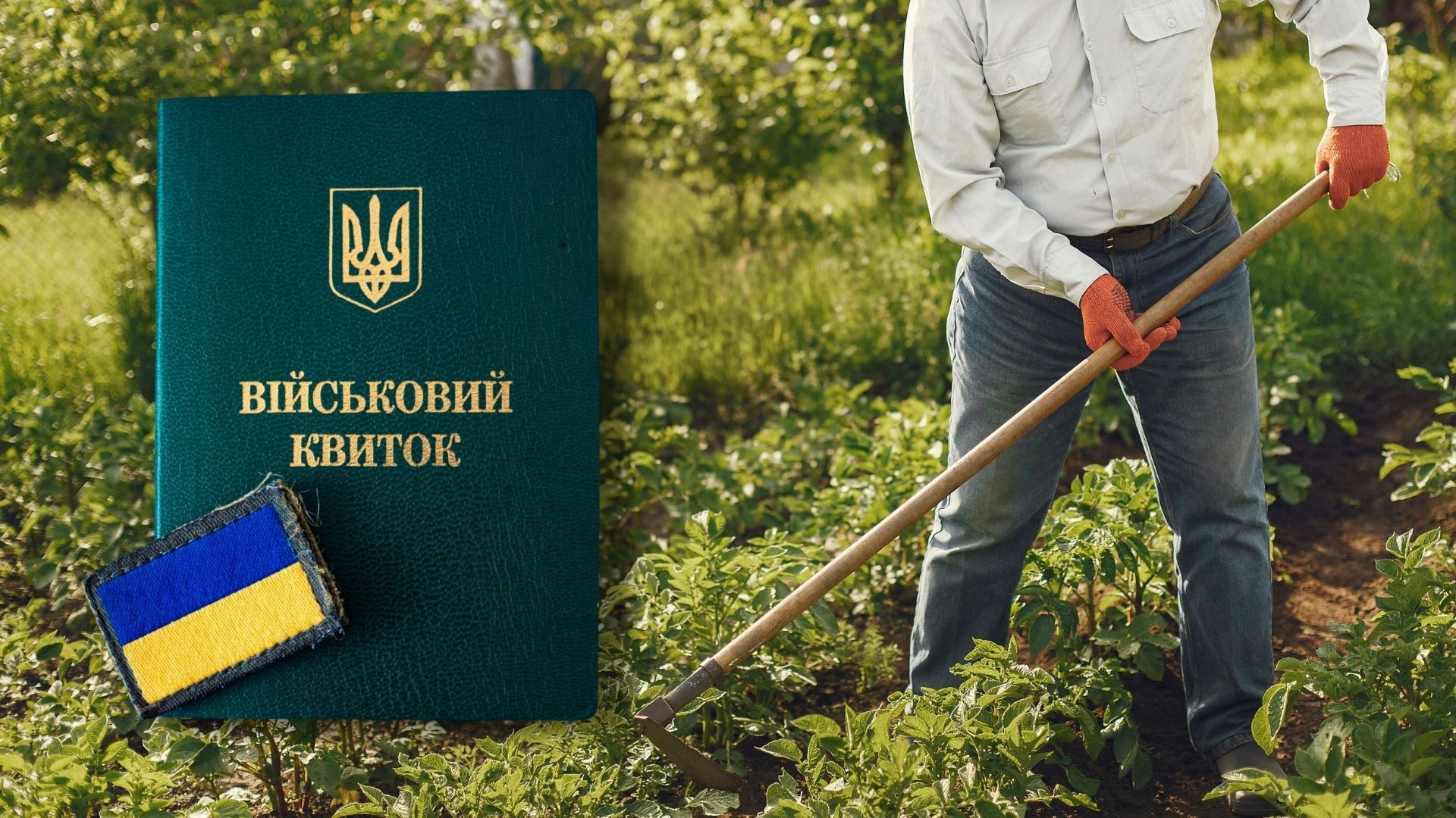 У яких випадках аграріям можуть відмовити в бронюванні У яких випадках аграріям можуть відмовити в бронюванні