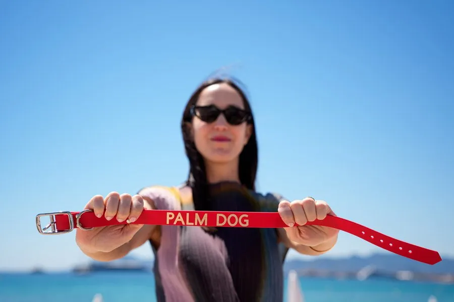 Нагорода Palm dog