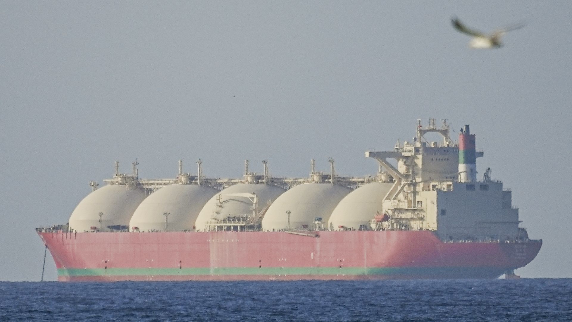 Країни відновлюють експорт газу через Ормузьку протоку Країни відновлюють експорт газу через Ормузьку протоку