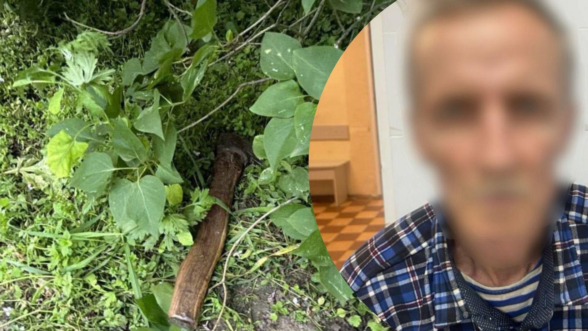 Мужчина жестоко избил сестру топором