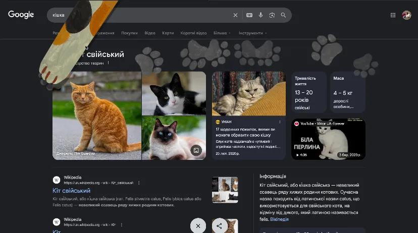 Секретні анімації від Google / скриншот Секретні анімації від Google / скриншот
