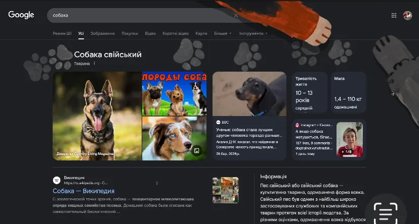 Секретні анімації від Google / скриншот Секретні анімації від Google / скриншот