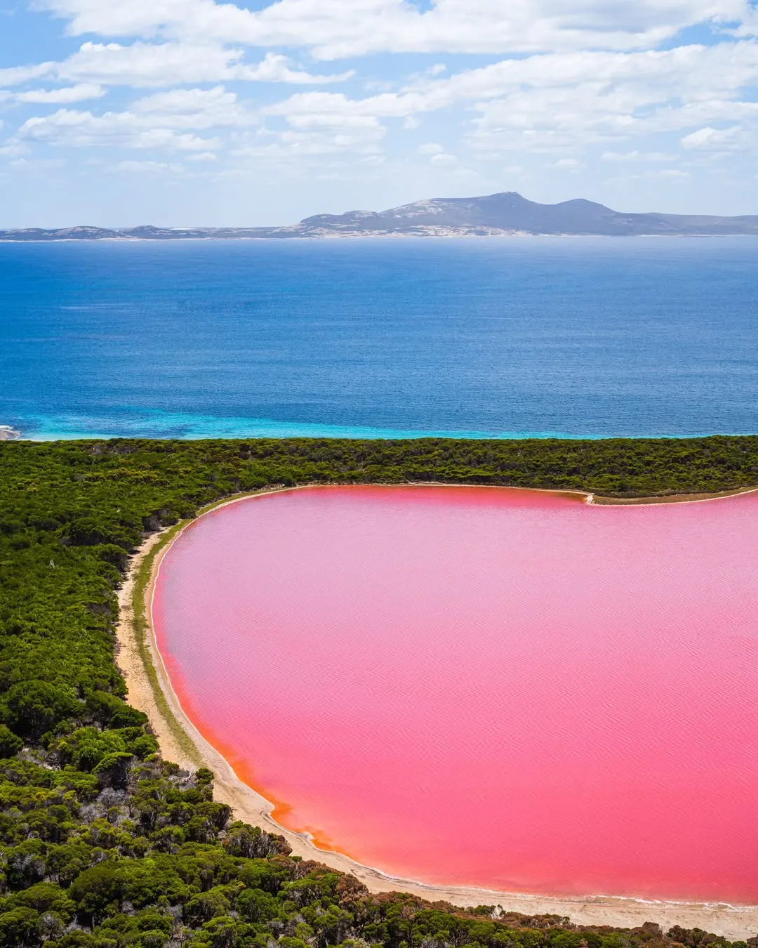 Рожеве озеро Гіллер / фото Australia's Golden Outback Рожеве озеро Гіллер / фото Australia's Golden Outback