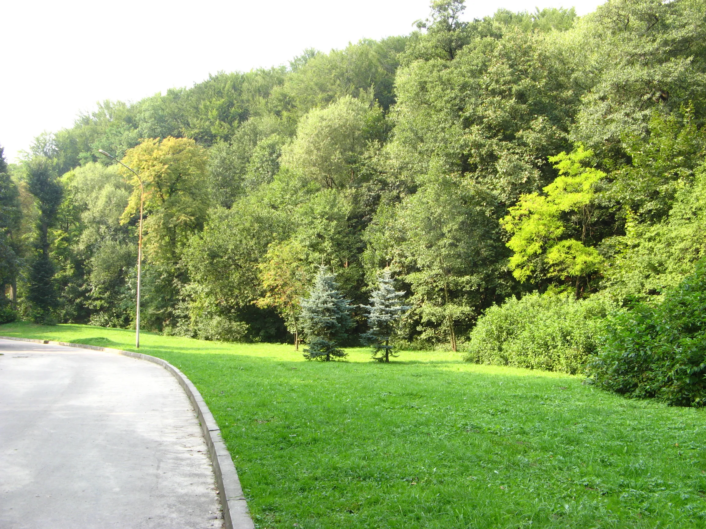 Погулянка / фото Lviv Travel Погулянка / фото Lviv Travel
