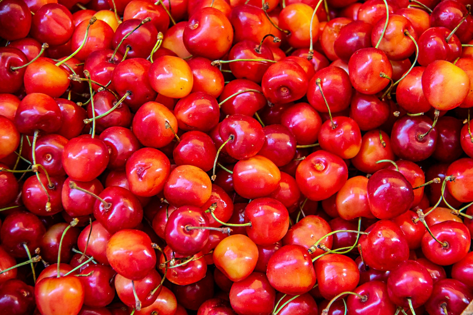 Скільки буде коштувати черешня Скільки буде коштувати черешня