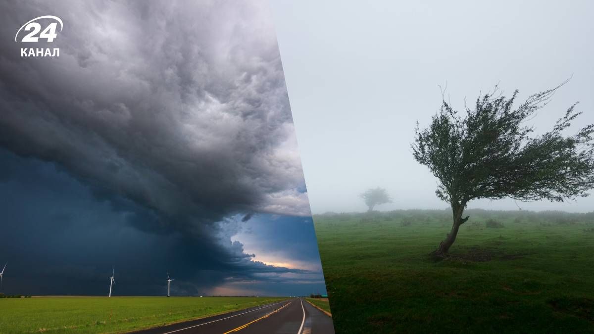 В Украине прогнозируют усиление ветра В Украине прогнозируют усиление ветра