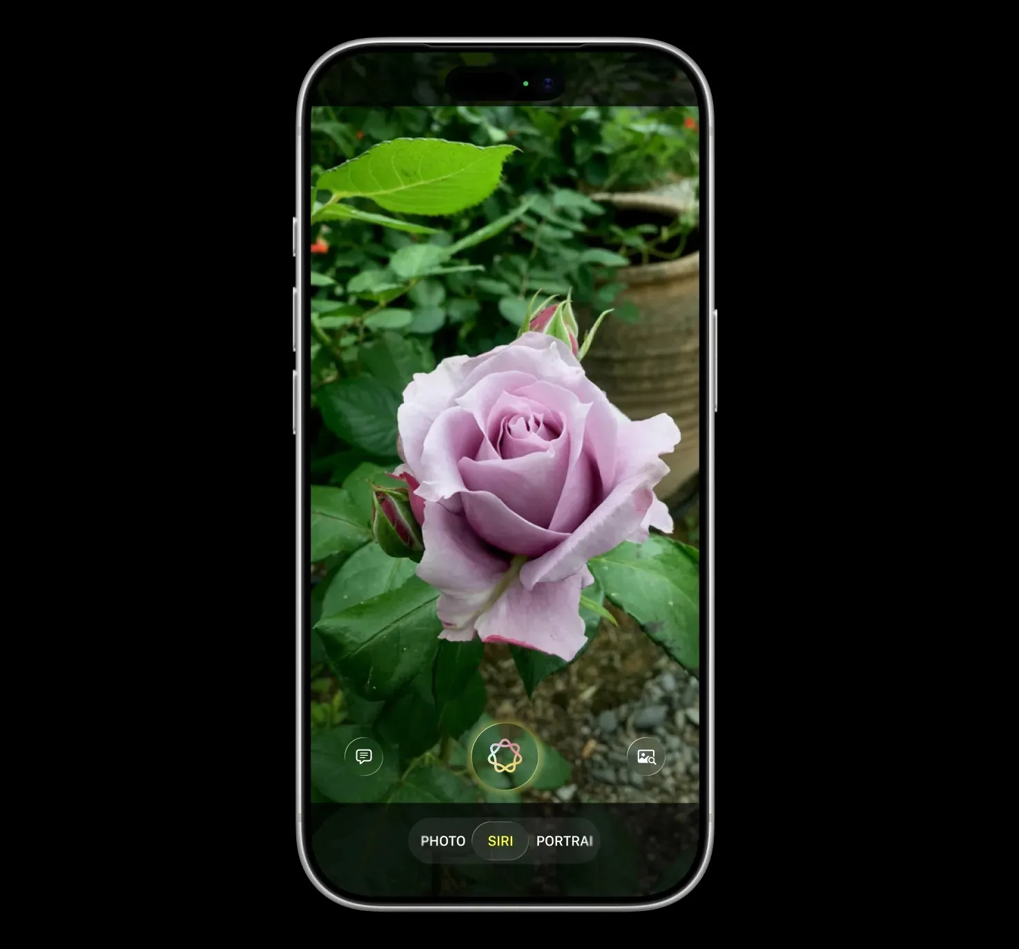 Нова Siri Нова Siri
