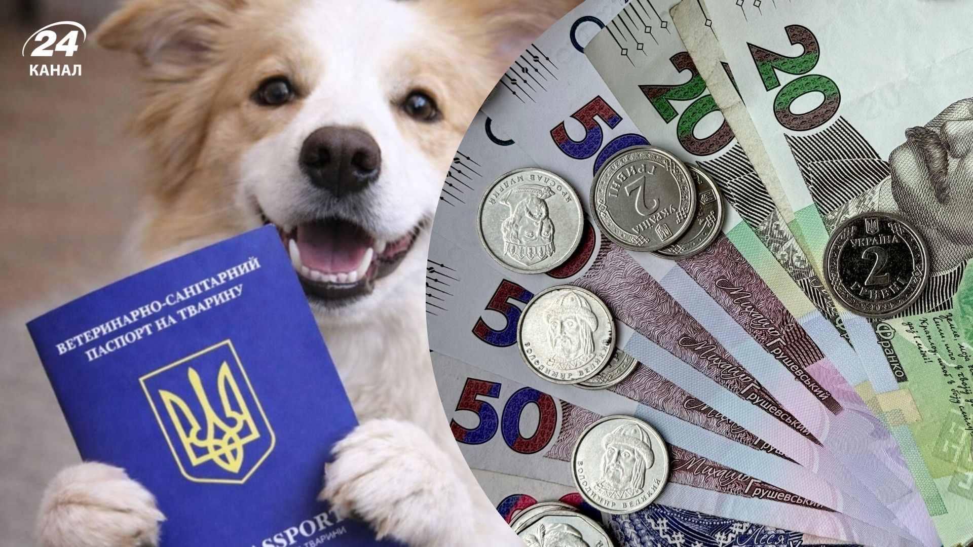 Скільки коштує оформлення документів собаці Скільки коштує оформлення документів собаці