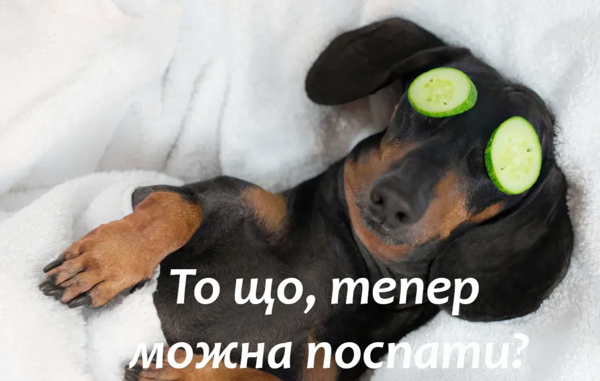 Смішні картинки про канікули у школі Смішні картинки про канікули у школі