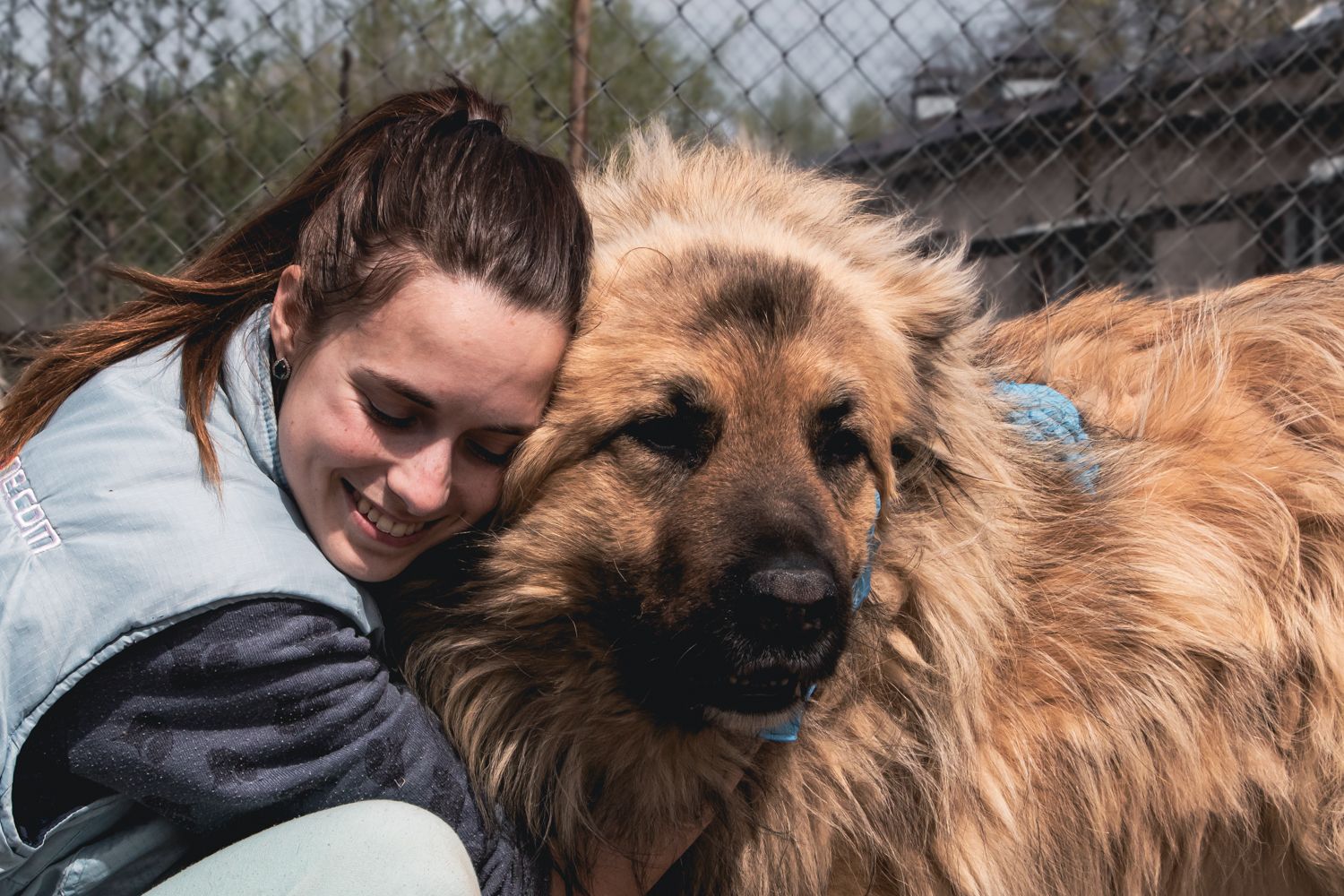 Як працює Gostomel Shelter 