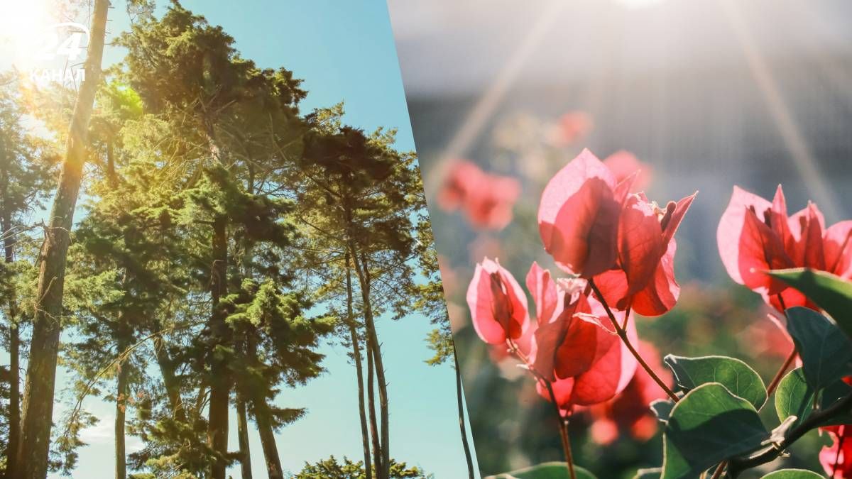 Потепління в Україні на початку червня
