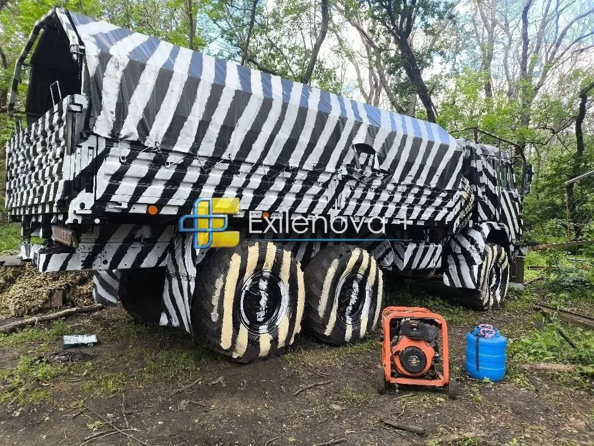 КАМАЗ-зебра - фото КАМАЗ-зебра - фото