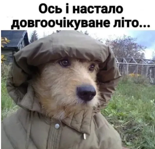 Меми про літо та погоду Меми про літо та погоду
