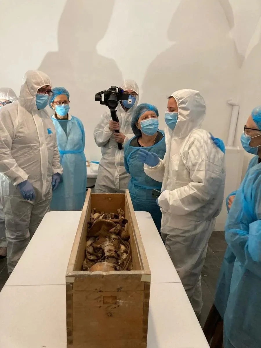 Дерев'яна труна з останками королеви Елісенди Дерев'яна труна з останками королеви Елісенди