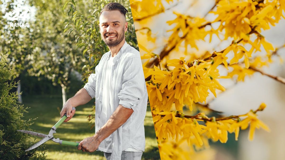 Не все растения стоит обрезать в июне