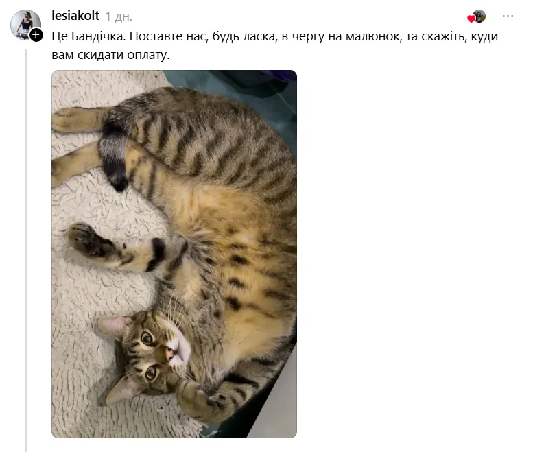 Серый кот с полосками