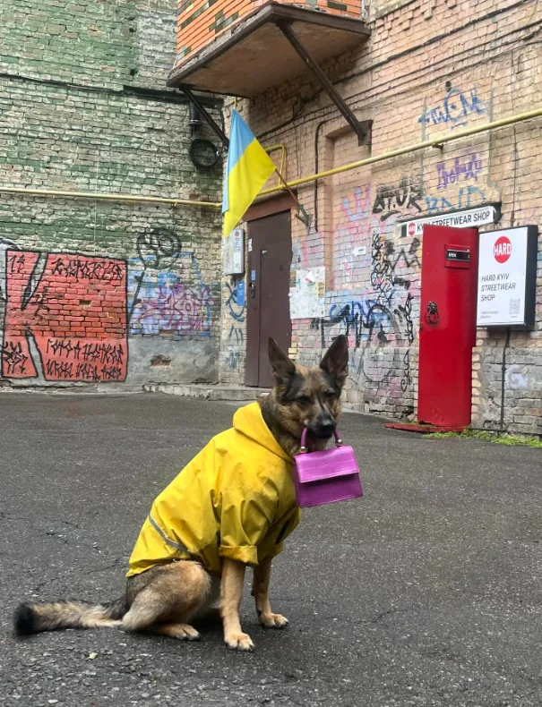 Собака з сумочкою