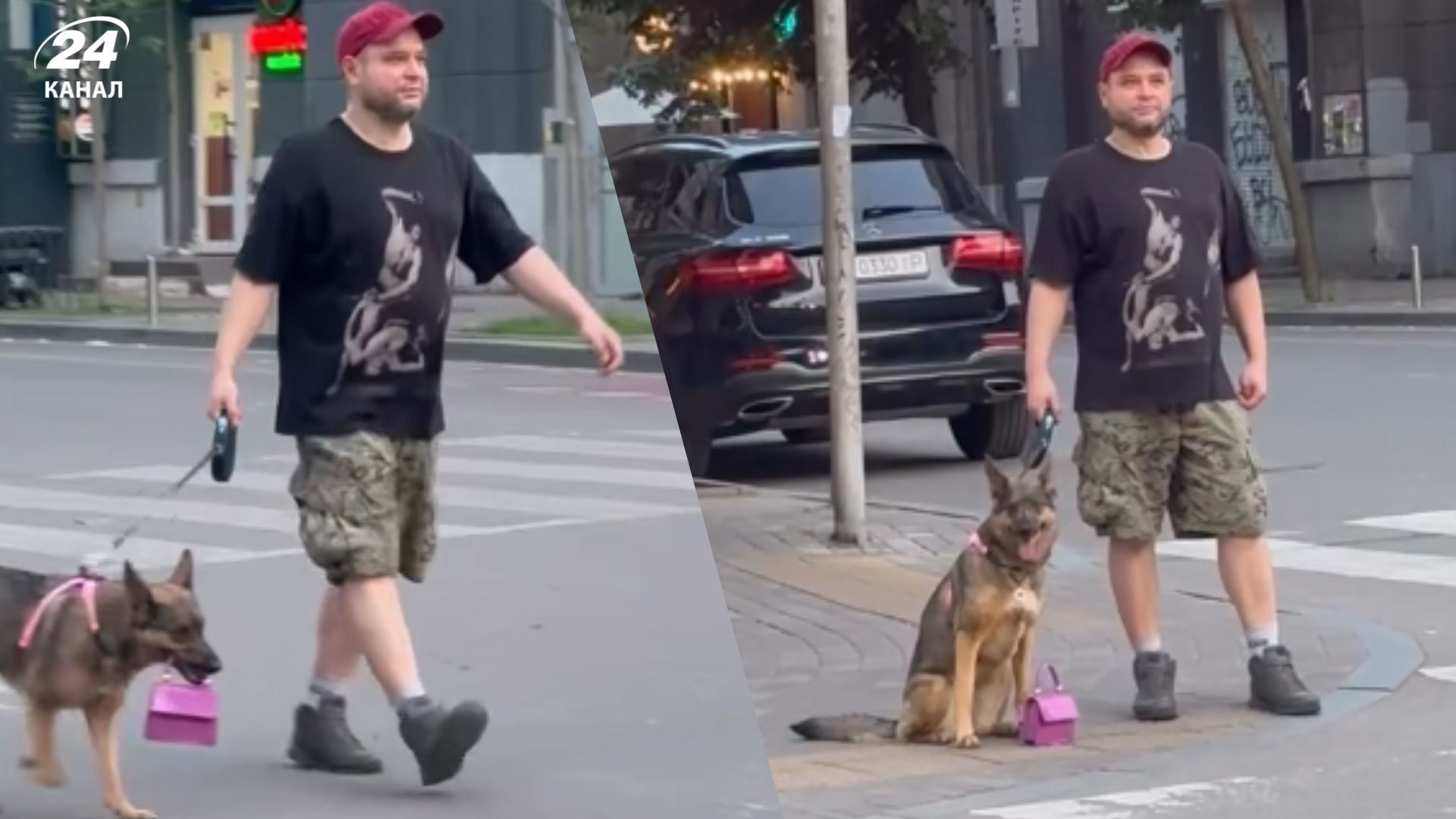 Собака с сумкой прогулялась по Киеву
