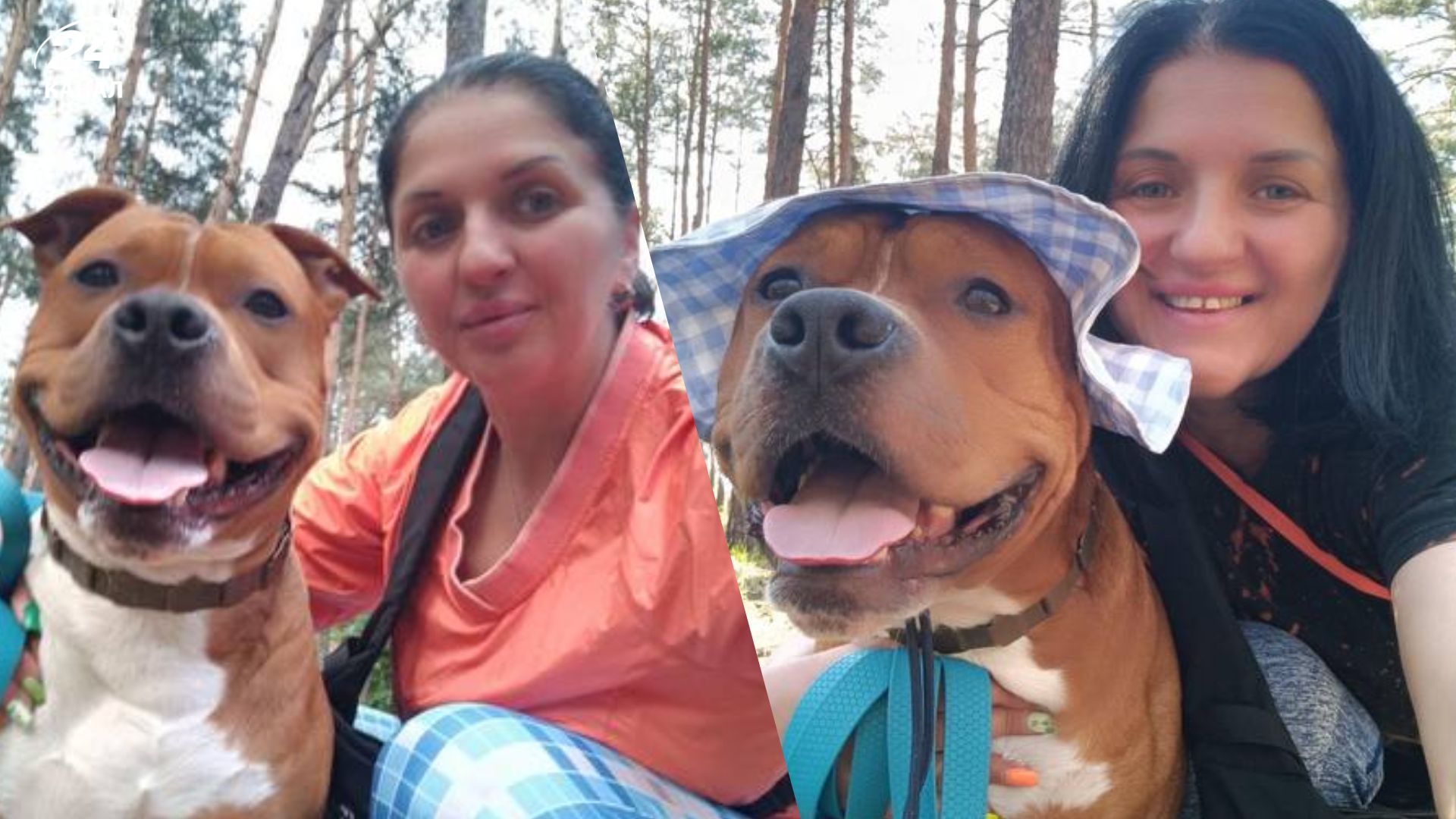 Жінка шиє панамки для собак