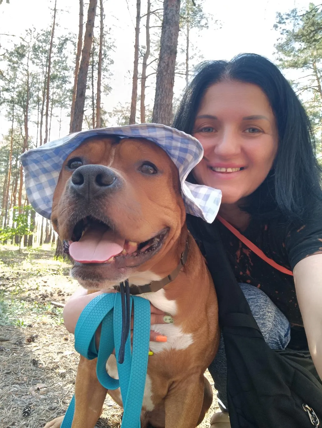 Пес у панамці Пес у панамці