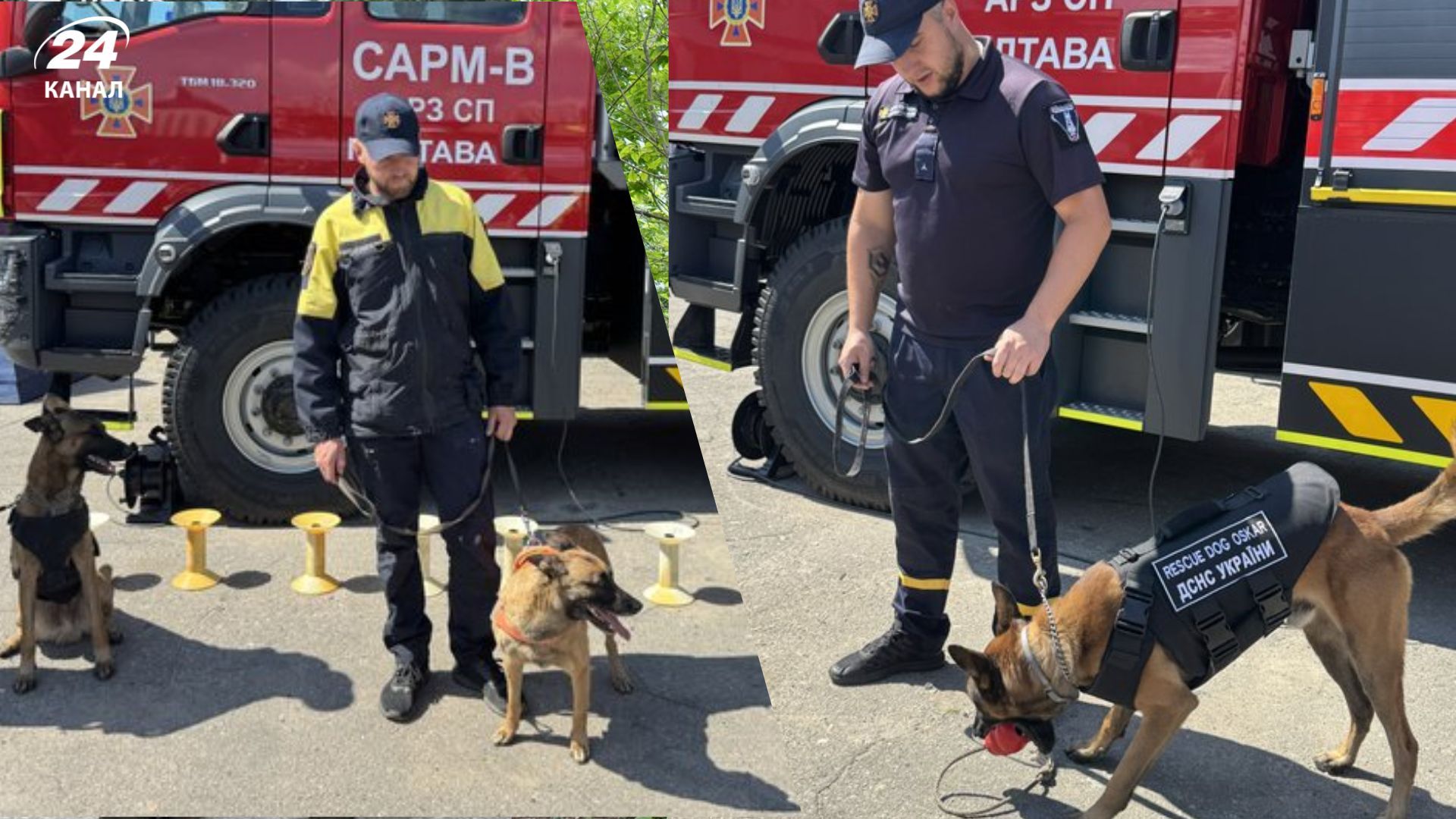 Собаки-саперы в ГСЧС Полтавщины
