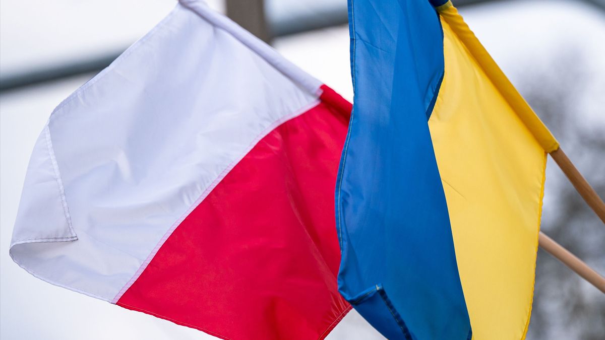 Поляки обурилися через назву українського підрозділу Поляки обурилися через назву українського підрозділу
