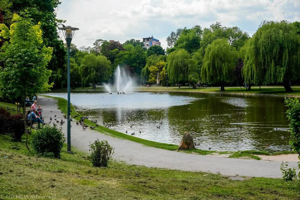 Міський парк / фото Agencja Wyborcza.pl Міський парк / фото Agencja Wyborcza.pl