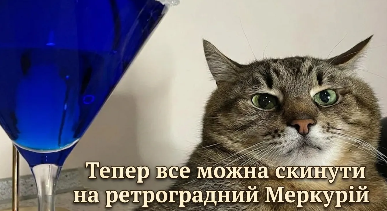 Кот Степан в мемах 