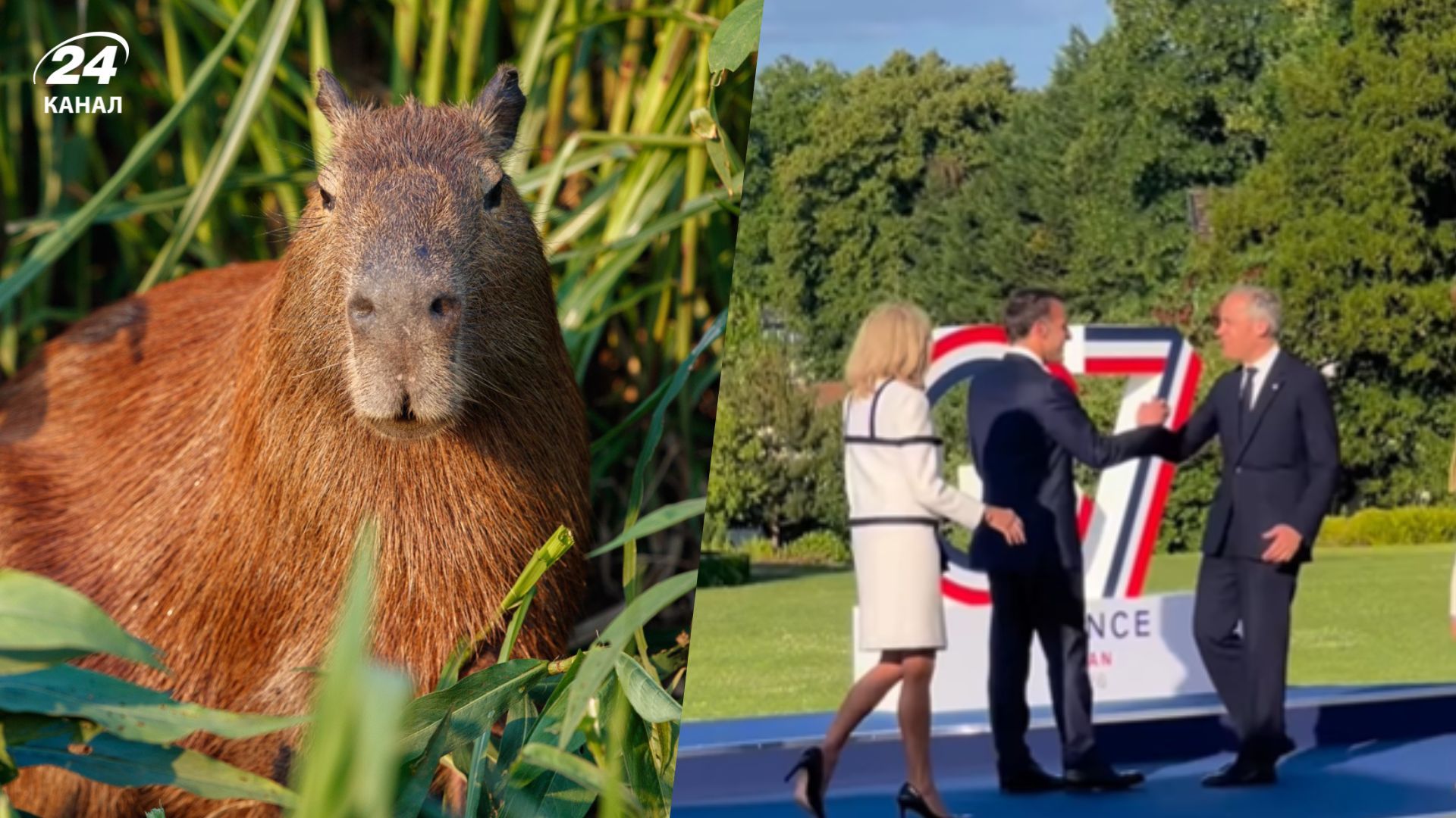 Эммануэль Макрон принимает мировых лидеров на саммите G7