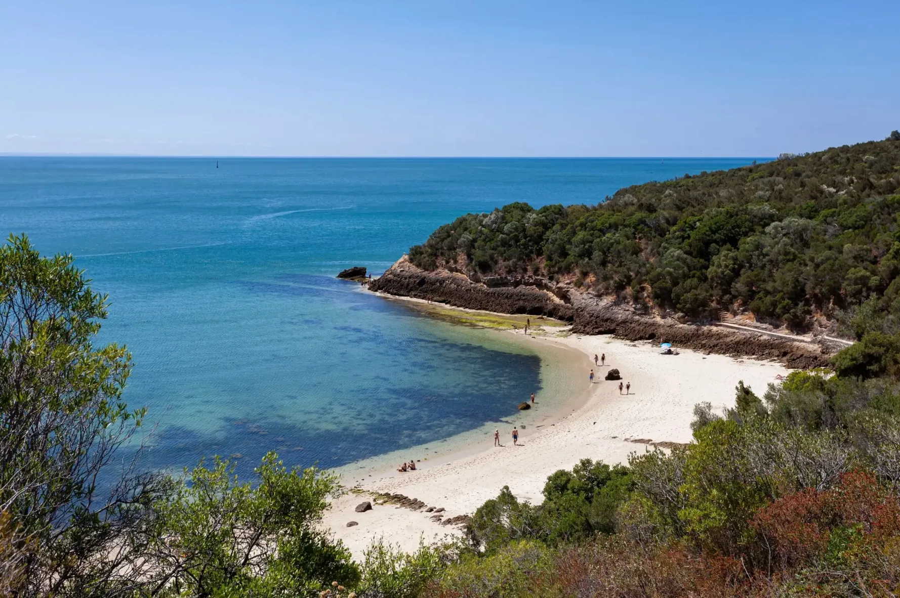 Пляж Praia dos Galapinhos в Португалии Пляж Praia dos Galapinhos в Португалии