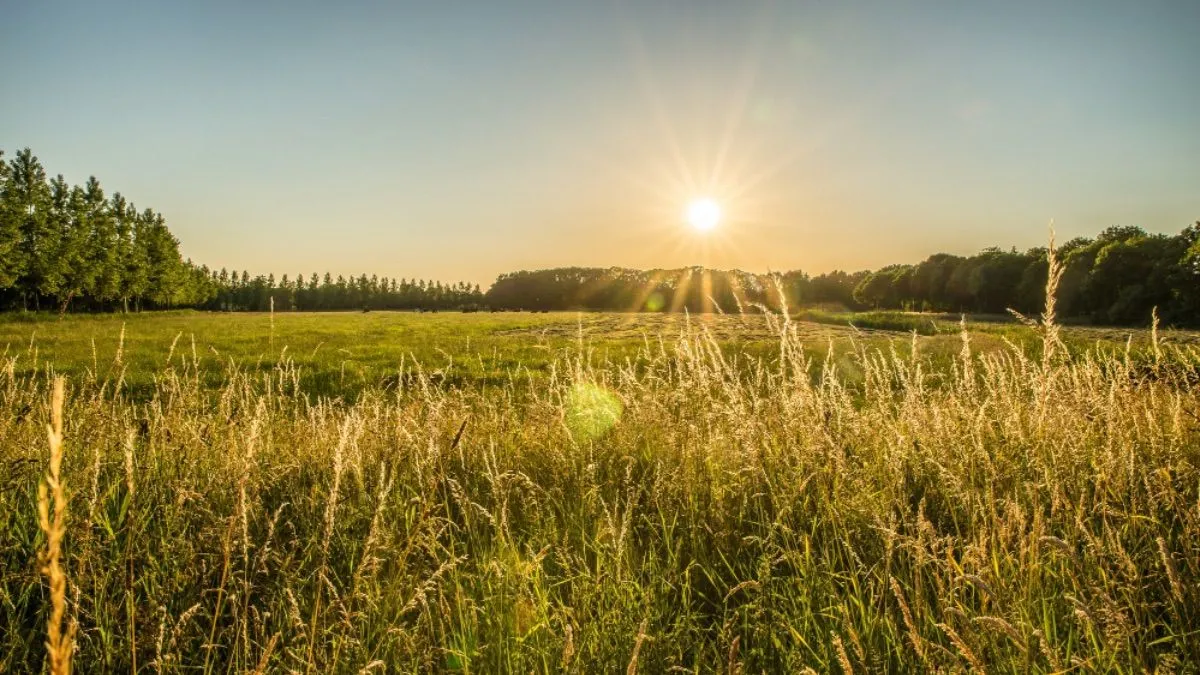 День літнього сонцестояння 2026