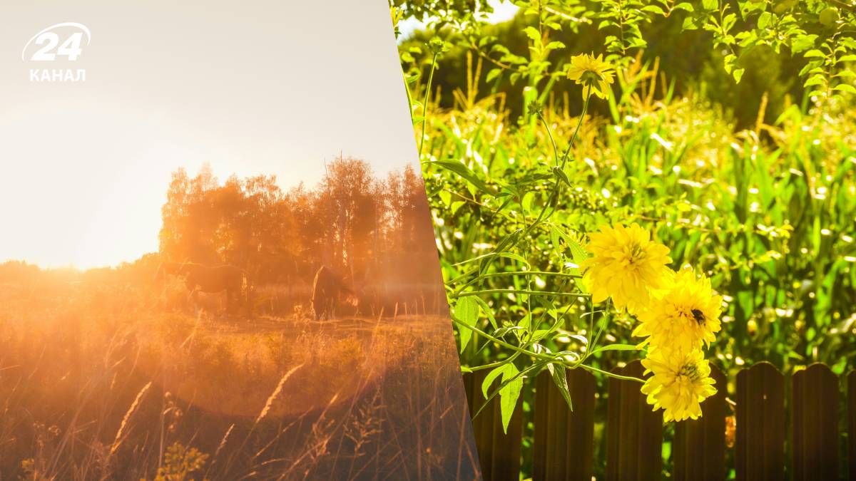 Тепла погода в Україні Тепла погода в Україні
