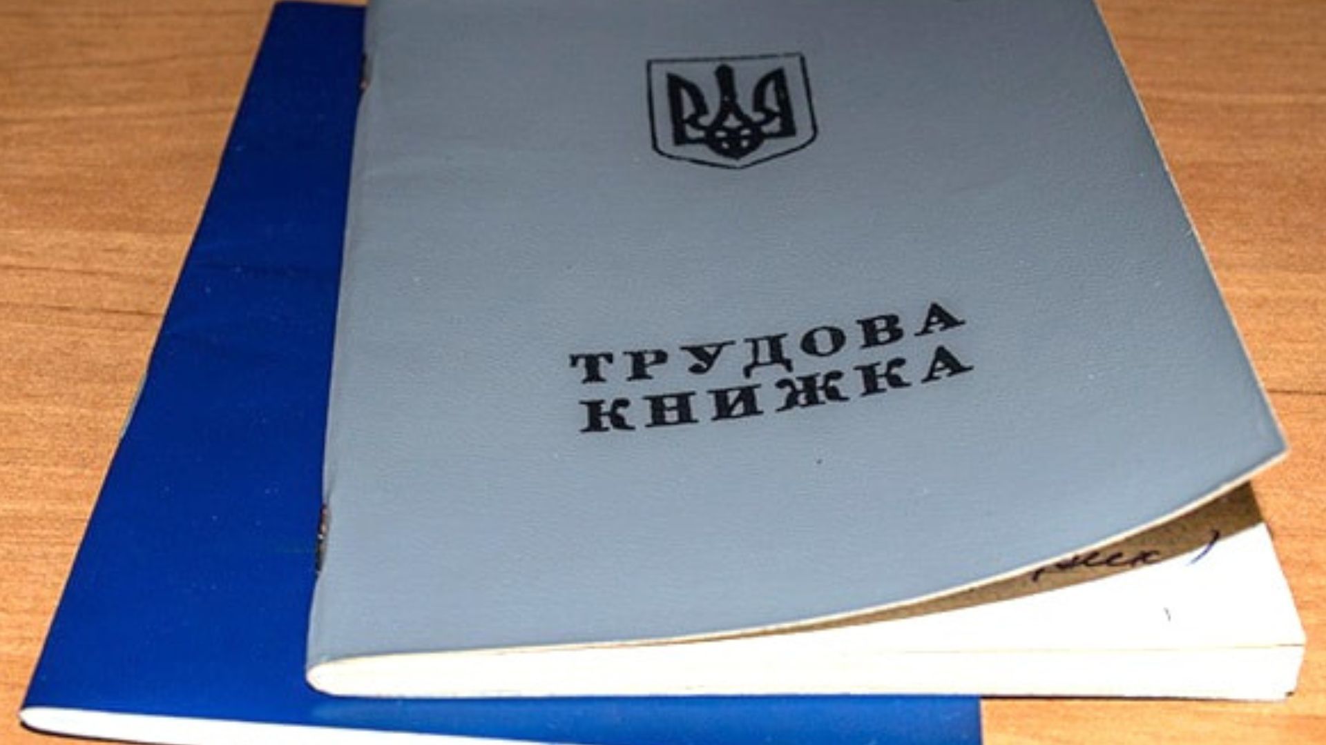 Оцифровка трудовой книжки в Украине Оцифровка трудовой книжки в Украине
