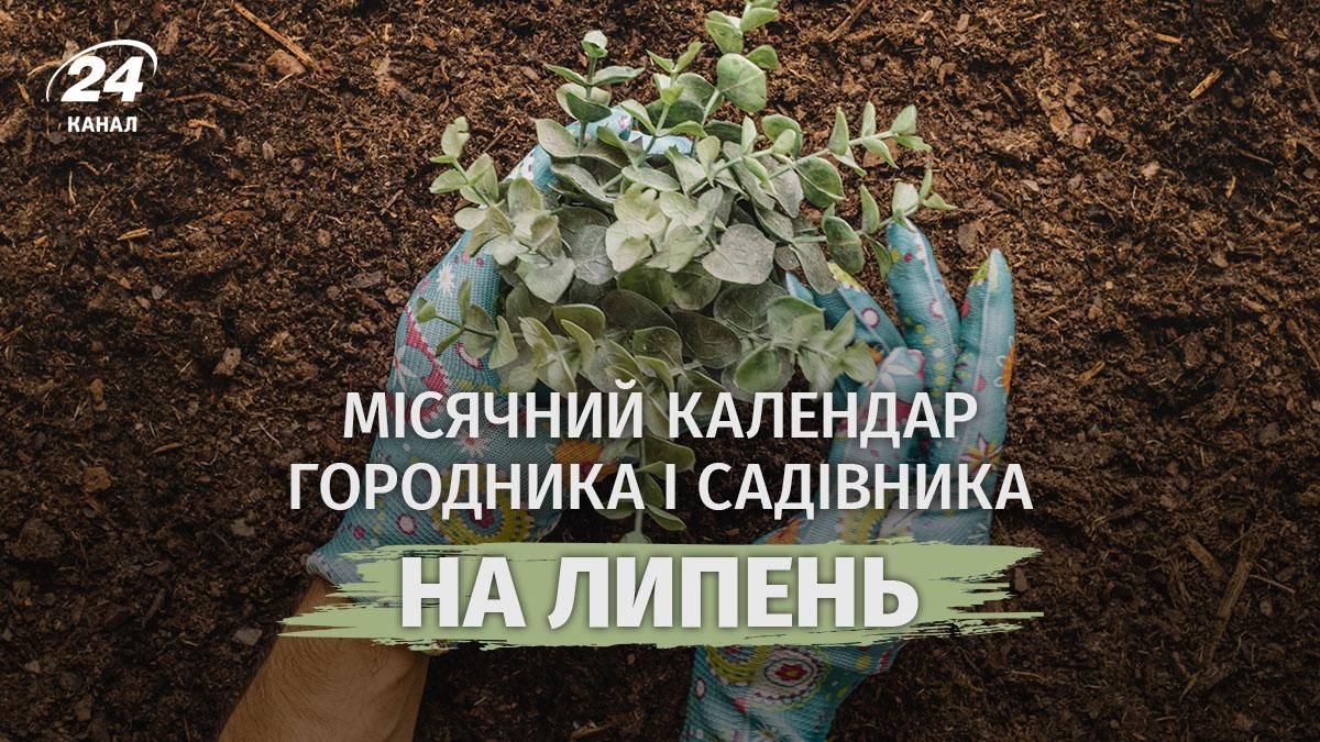 Місячний посівний календар городника на липень 2026 - активні дні для росту