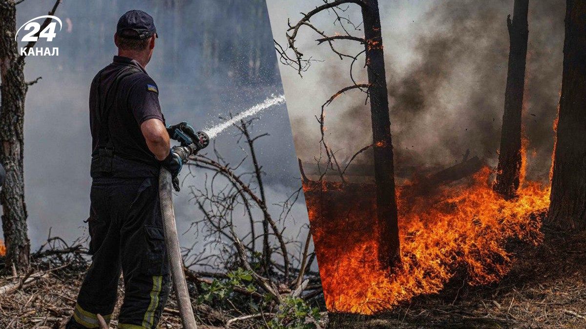 У Чорнобильській зоні лісова пожежа 29 червня У Чорнобильській зоні лісова пожежа 29 червня