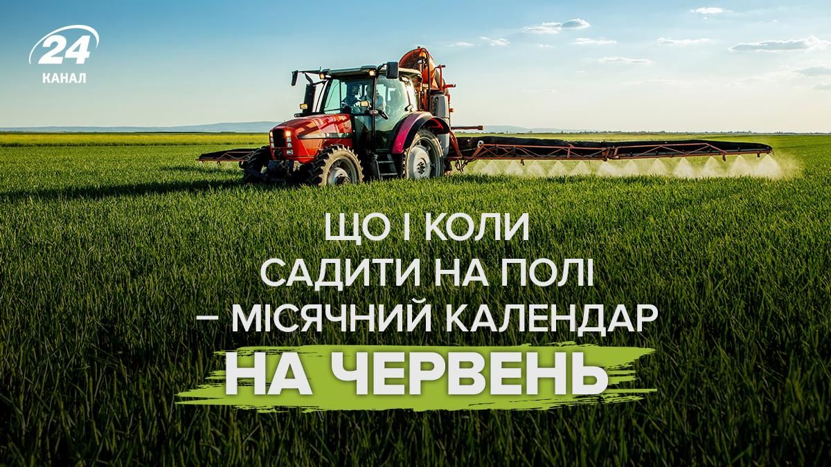 Посівний календар на липень Посівний календар на липень