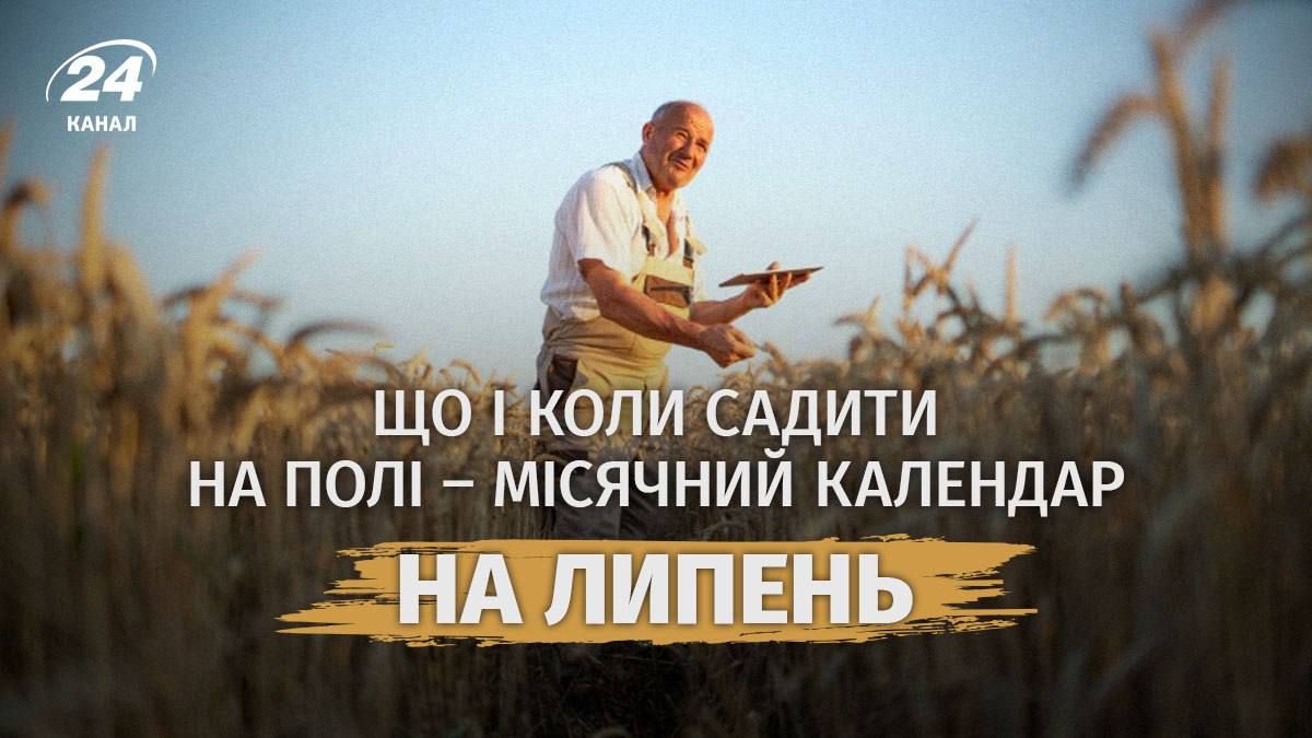 Посевной календарь на июль Посевной календарь на июль
