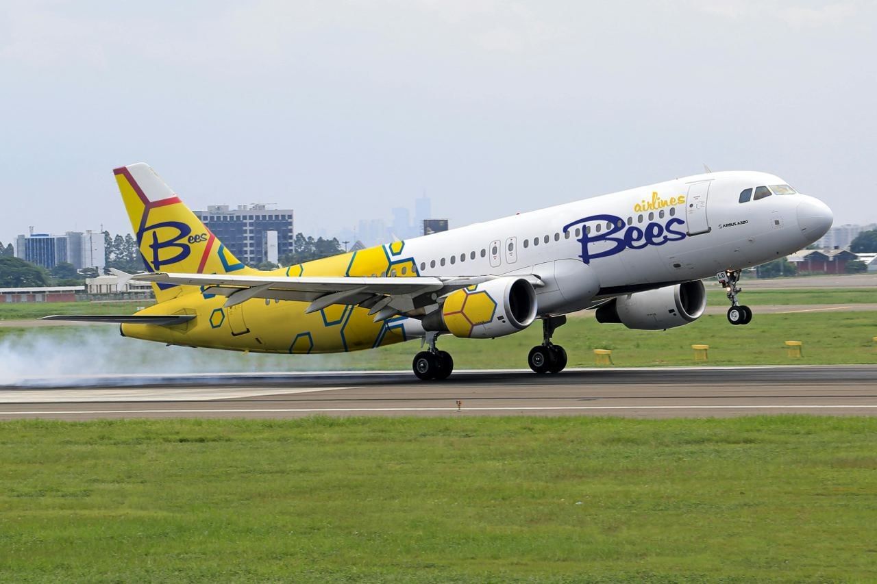 Bees Airline збанкрутувала